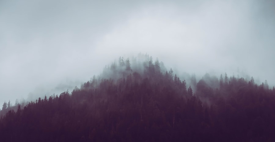 Photo Value-Based Pricing