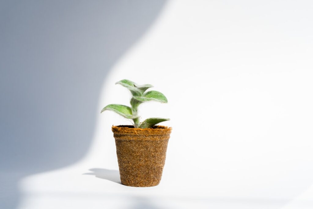 Photo Career Growth Strategies