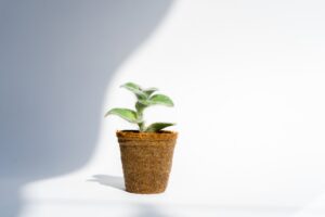 Photo Career Growth Strategies