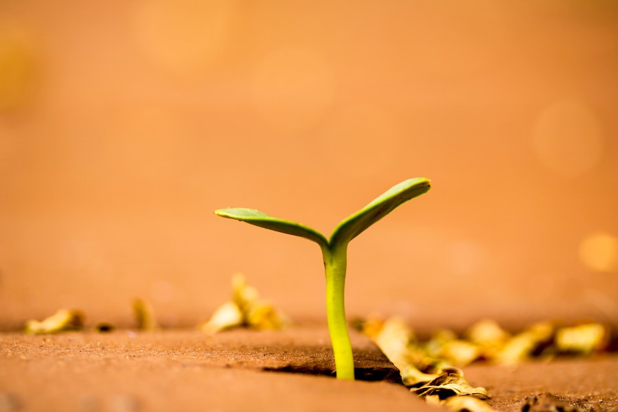 Photo Career Growth Strategies