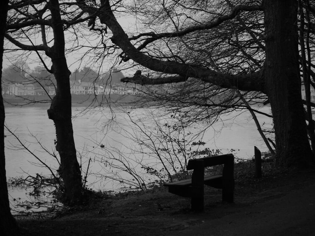 Photo Stillness