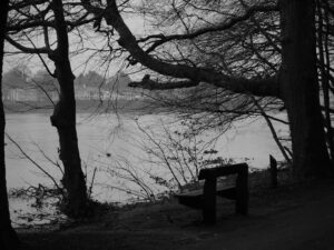 Photo Stillness