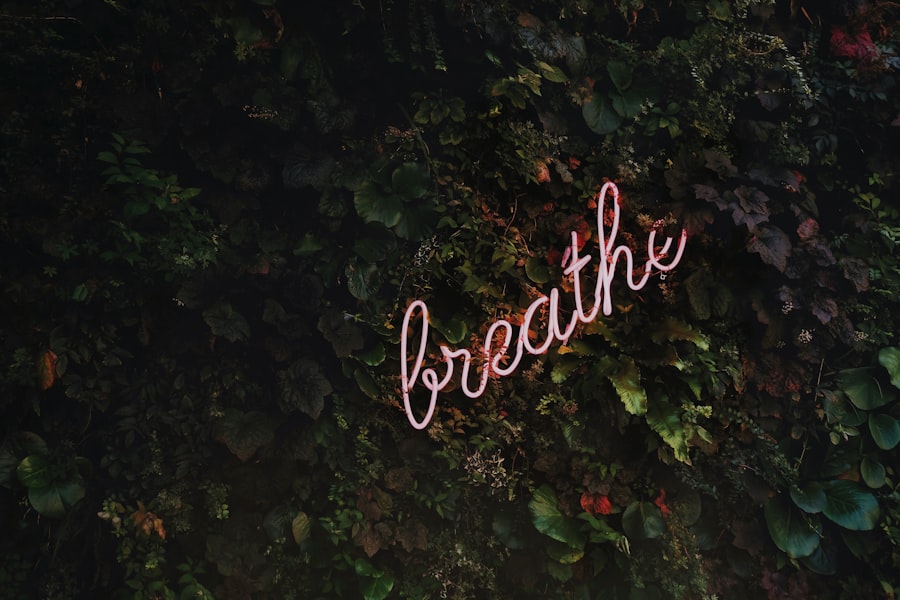 Photo Mindfulness