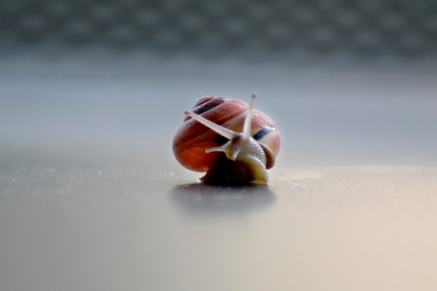 Slow Living