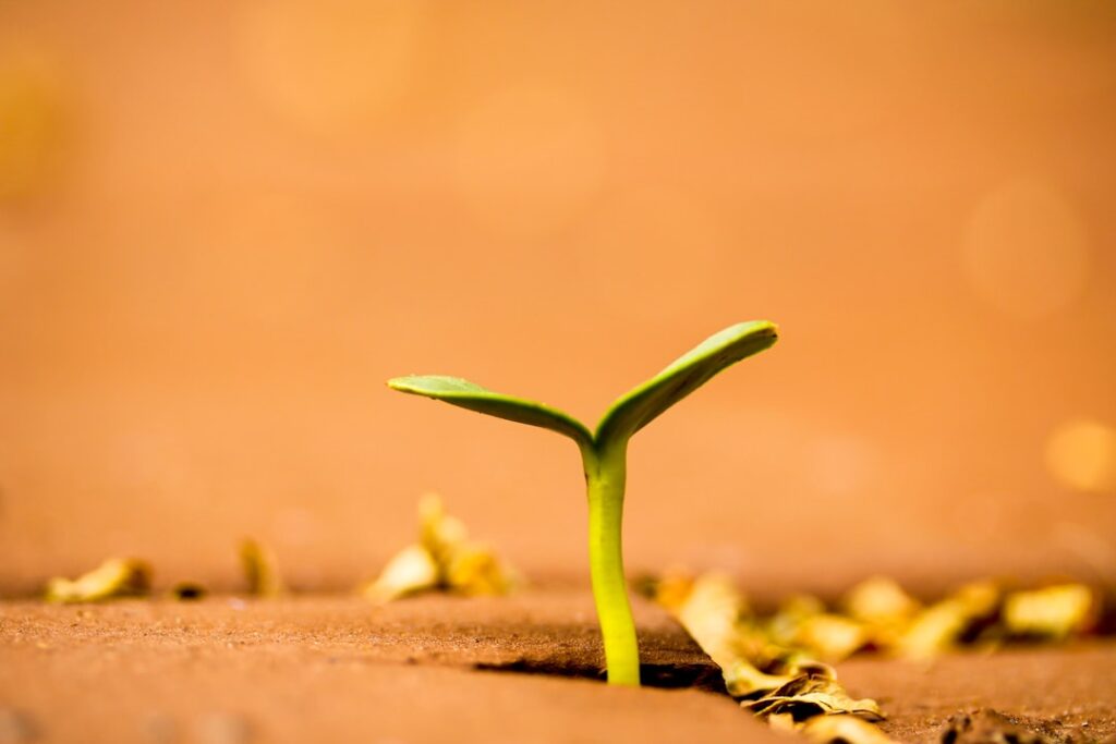 Photo Career Growth Strategies