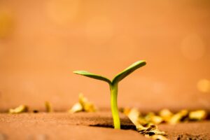 Photo Career Growth Strategies