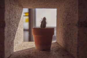 Photo Career Growth Strategies