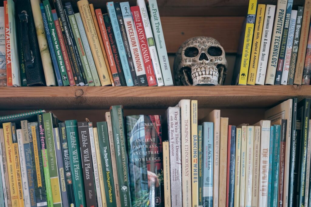 Publishing Mastery: Elevating Your Voice Through High-End Manuscript Development
